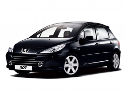 Peugeot 307 manual